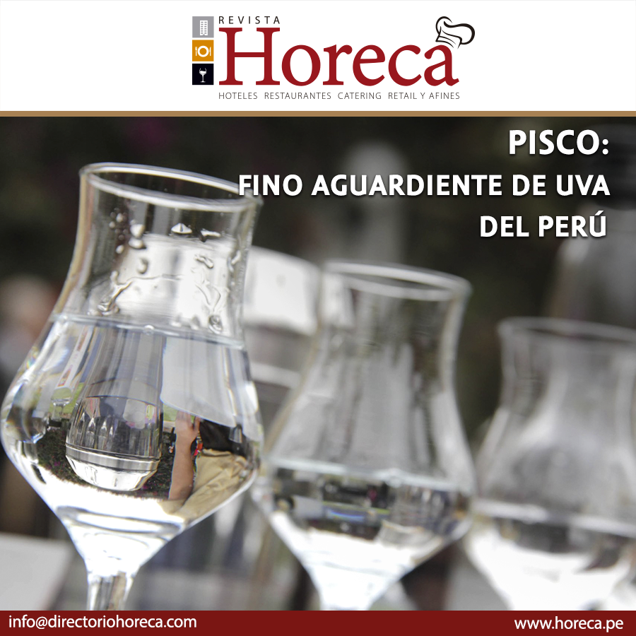 Lyris Monasterio Pisco